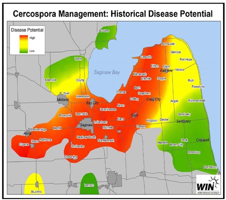 A map of the Michigan thumb showing where Cercospora disease is common